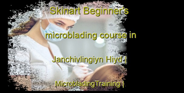 Skinart Beginner's microblading course in Janchivlingiyn Hiyd | MicrobladingTraining | MicrobladingClasses | SkinartTraining-Mongolia